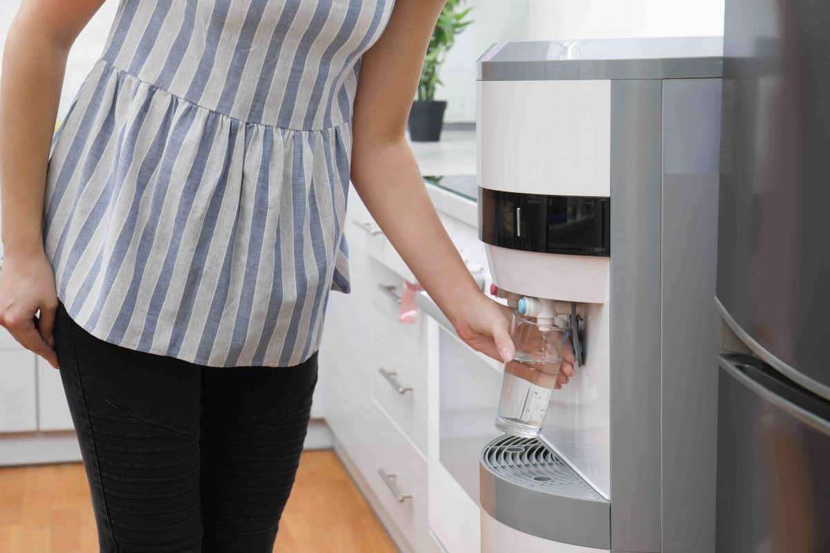 Refroidisseur d'eau sur réseau pour gobelet ou carafe